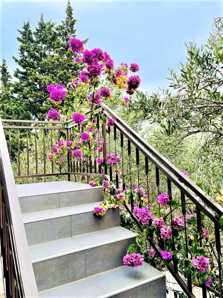 Apartments Ivan Водице Экстерьер фото